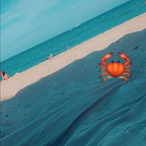 Meet your Posher, Ebonie